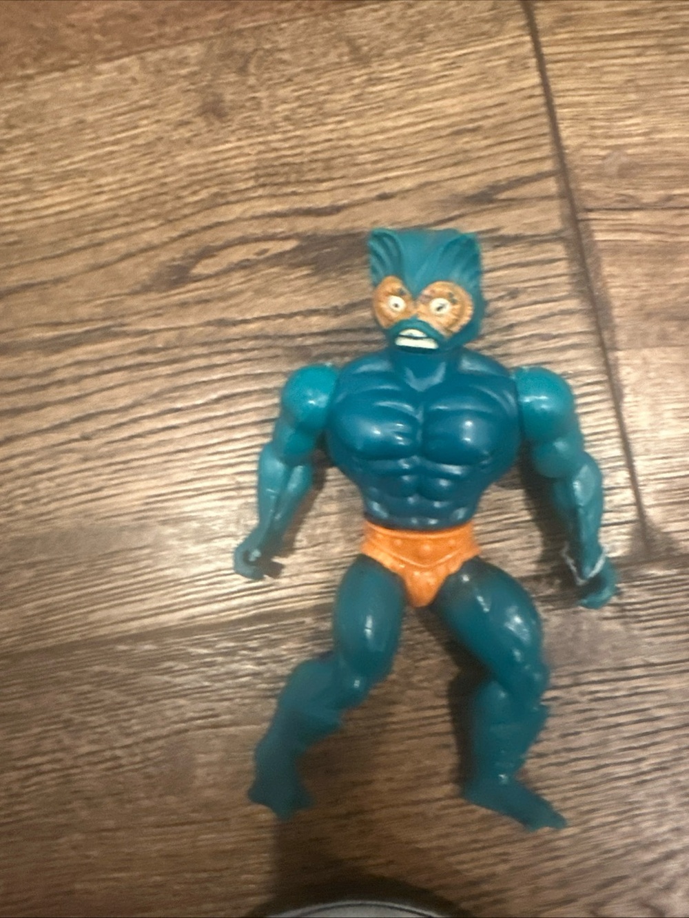 Motu - Picture 15 of 16